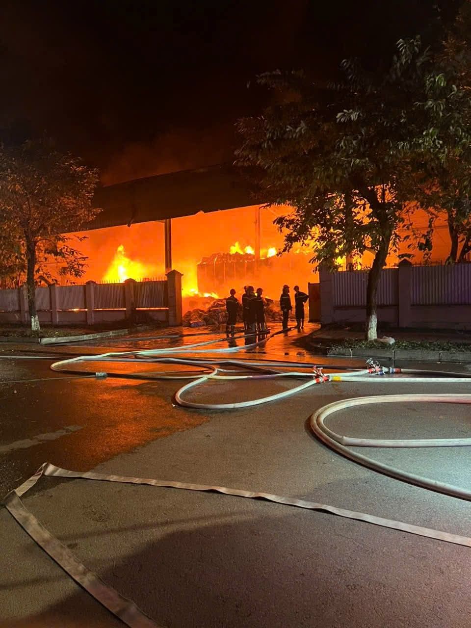 FB_IMG_1764257696092