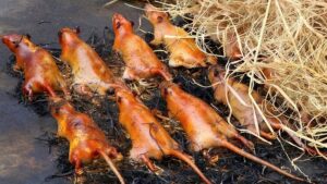 IMG_1763229101664_1763229124796