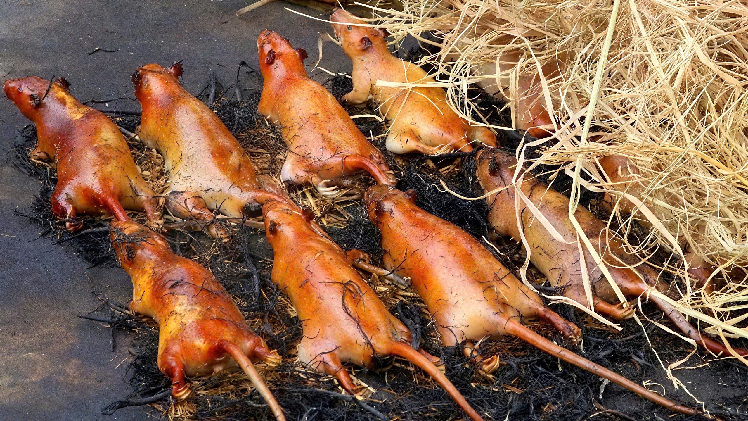 IMG_1763229101664_1763229124796