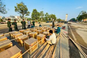 IMG_1771231935544_1771231975175