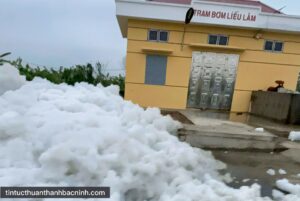 IMG_1771905853608_1771905870901