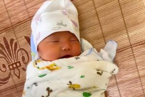 IMG_1773148595236_1773148603746