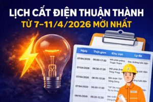 8a618a20-90ad-4f4d-a8d9-b84bf4862d92